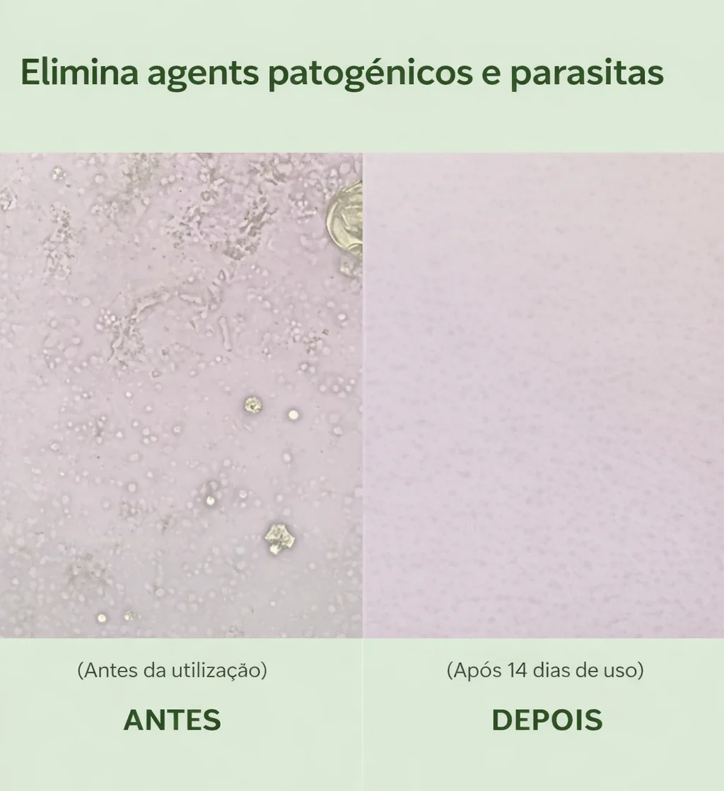 Imagem do produto 4